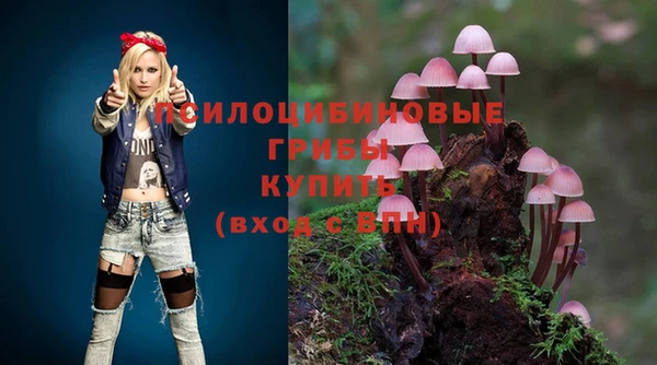 ECSTASY Белоозёрский